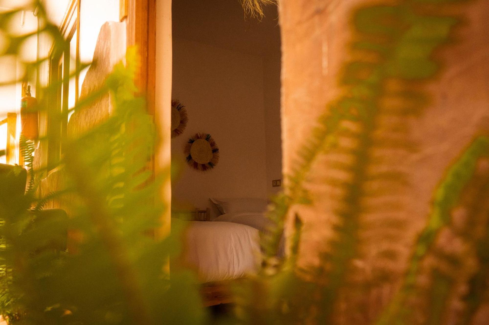 Single Fin Taghazout Surf & Stay Exterior foto
